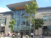 dsc00255.jpg